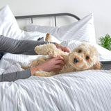 Dog on a bed with the Essential Collection Percale Duvet Cover and Pillowcase Set in Charcoal Stripe