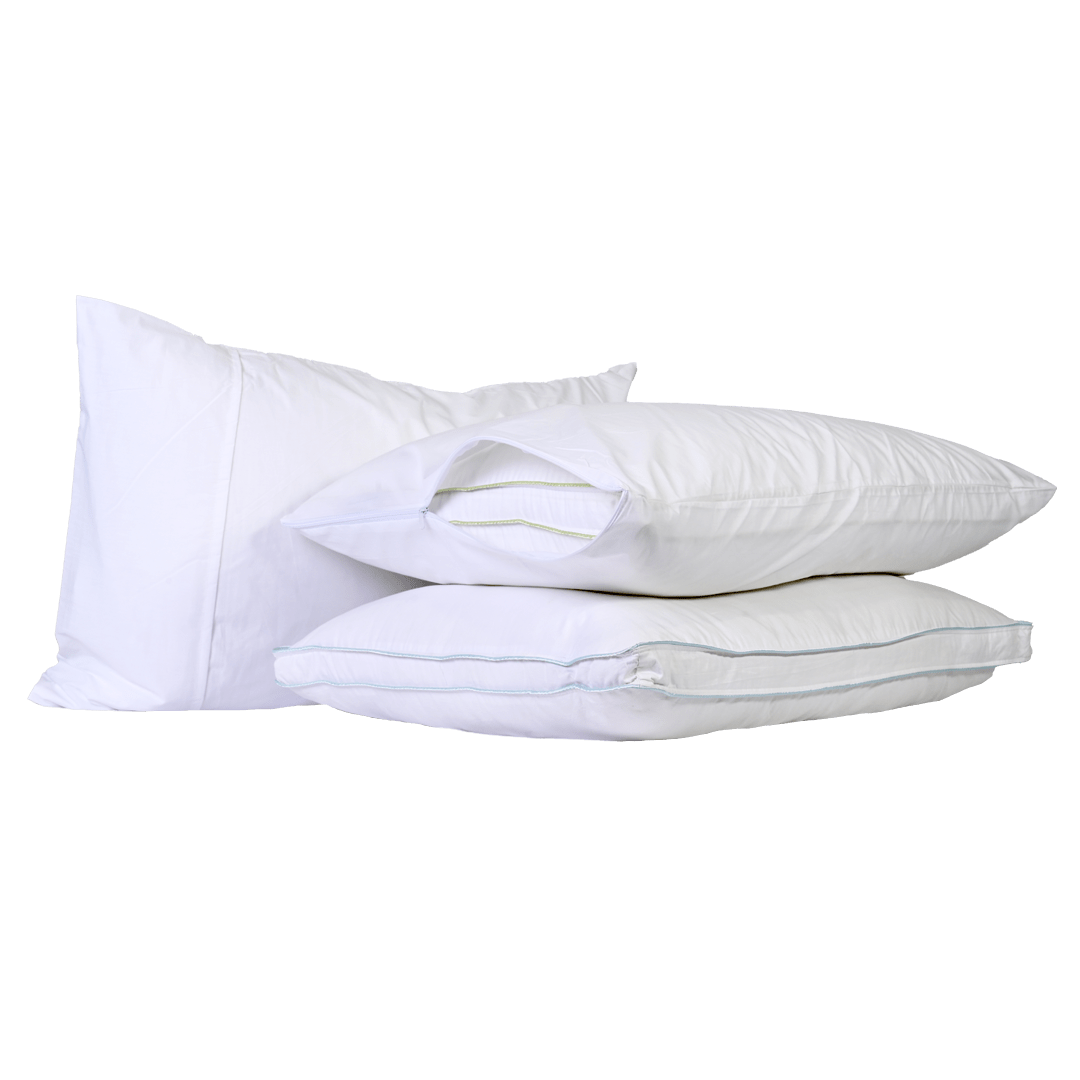 Discover Comfortable Pillows in Canada Discover Comfortable Pillows in Canada