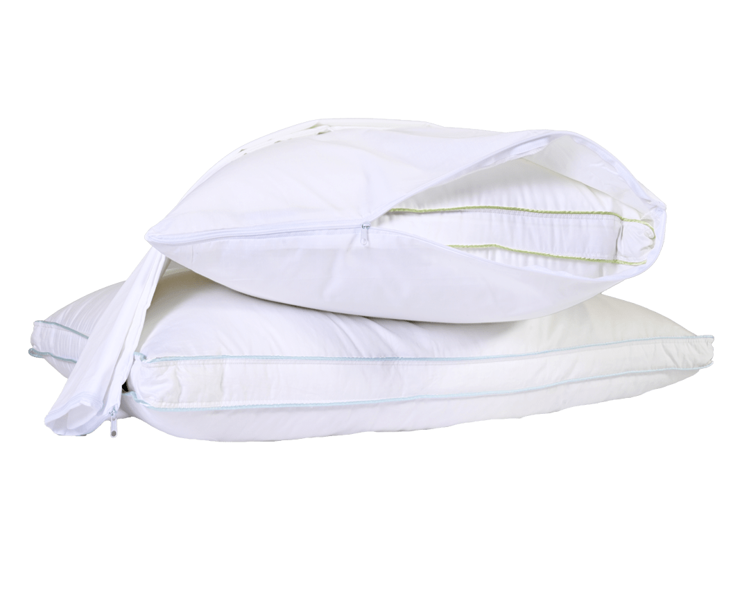 Pillow Protectors (Set of 2)