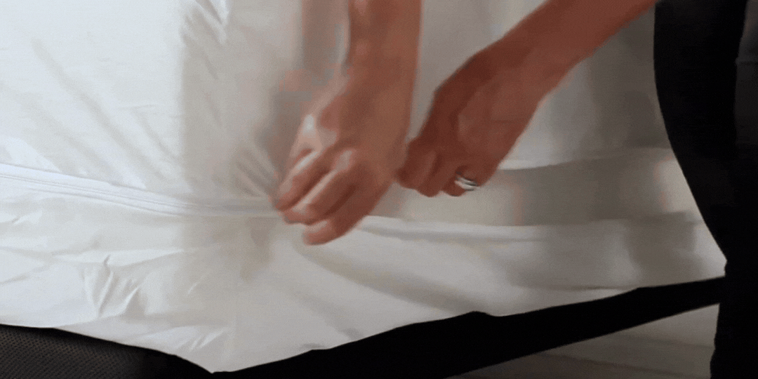 Purecare mattress and pillow protectors animation